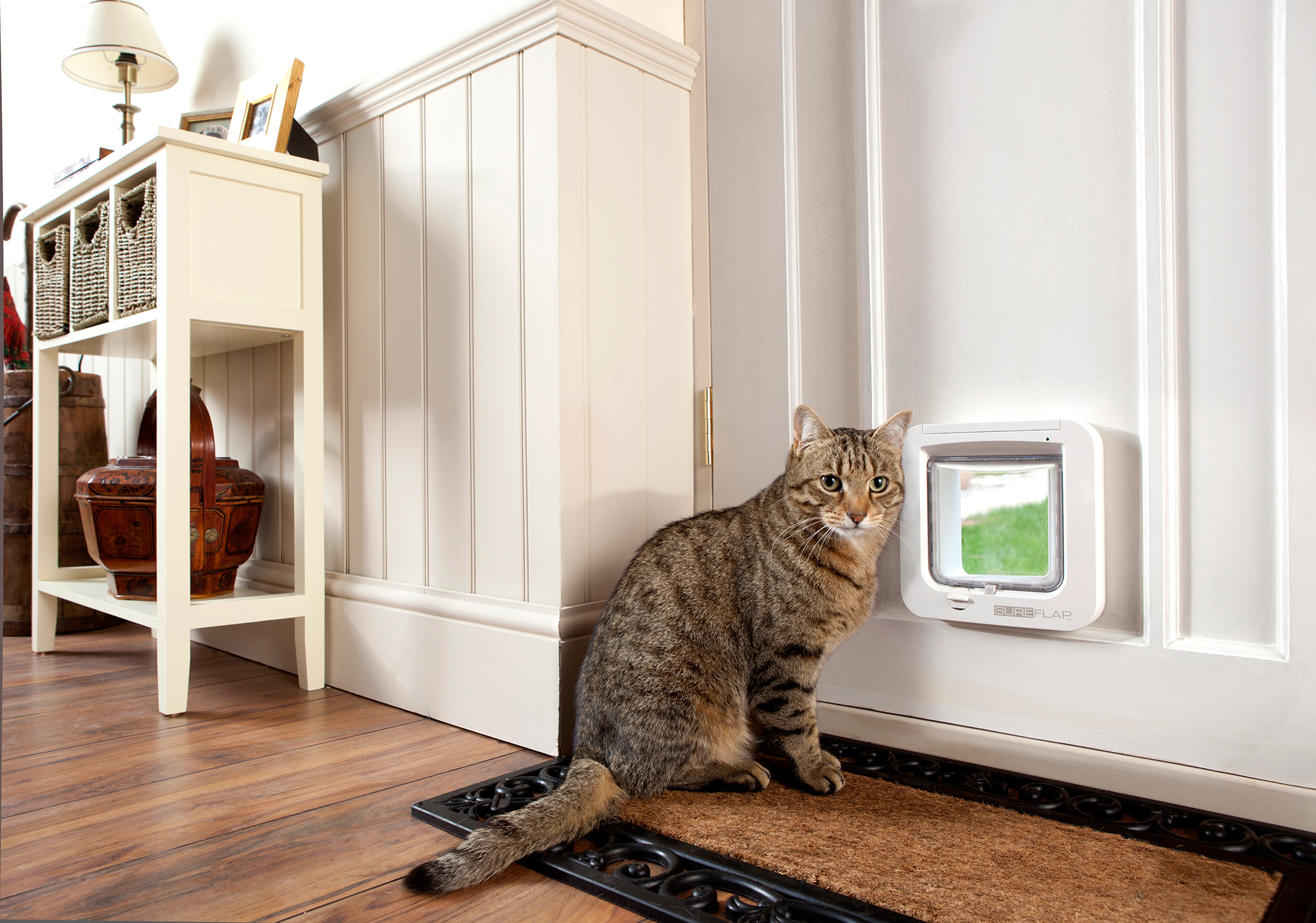 SureFlap microchip cat flap installed in a door for selective cat entry