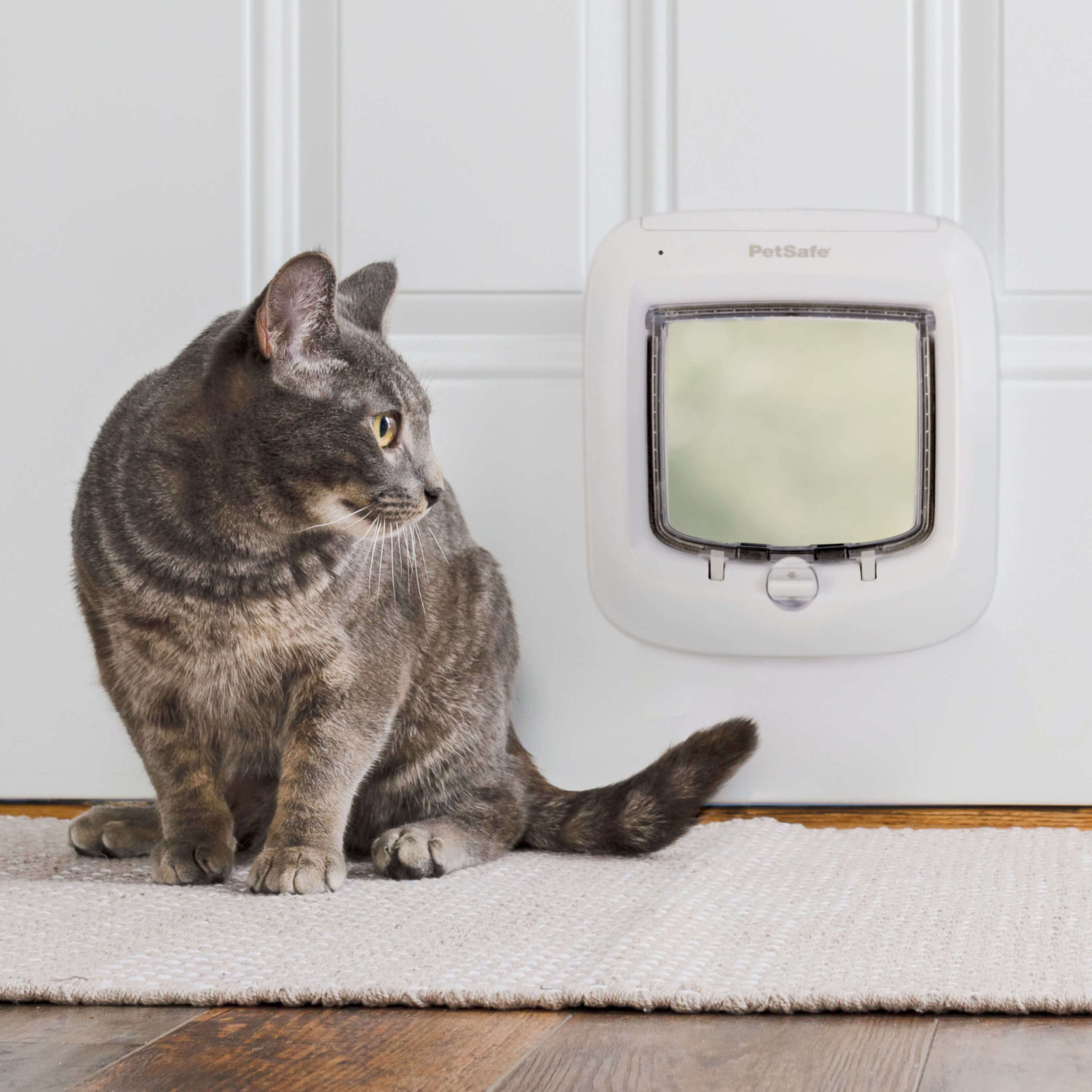 PetSafe microchip cat door with 4-way manual locking