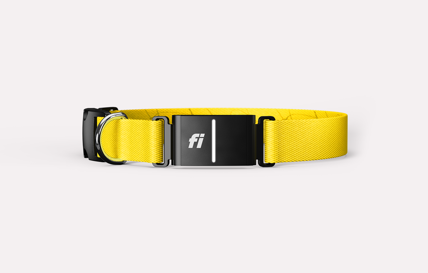 Fi Series 3 smart dog collar with built-in activity tracker